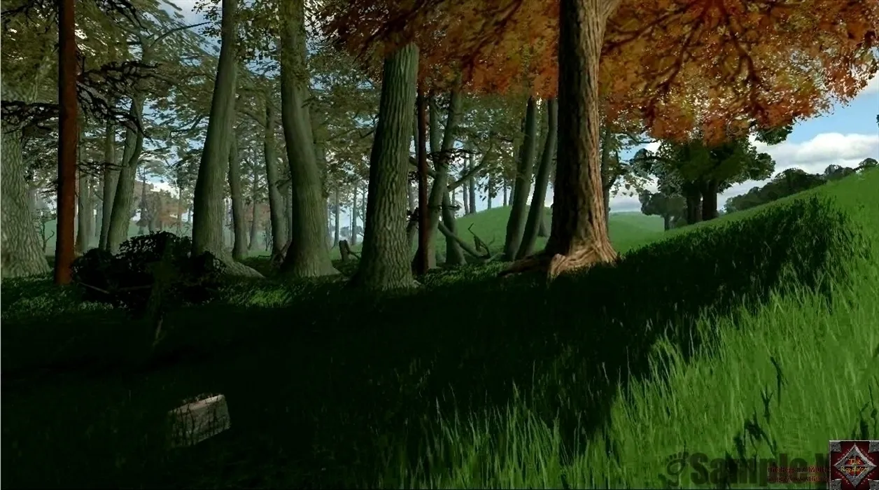 Shot of Woods